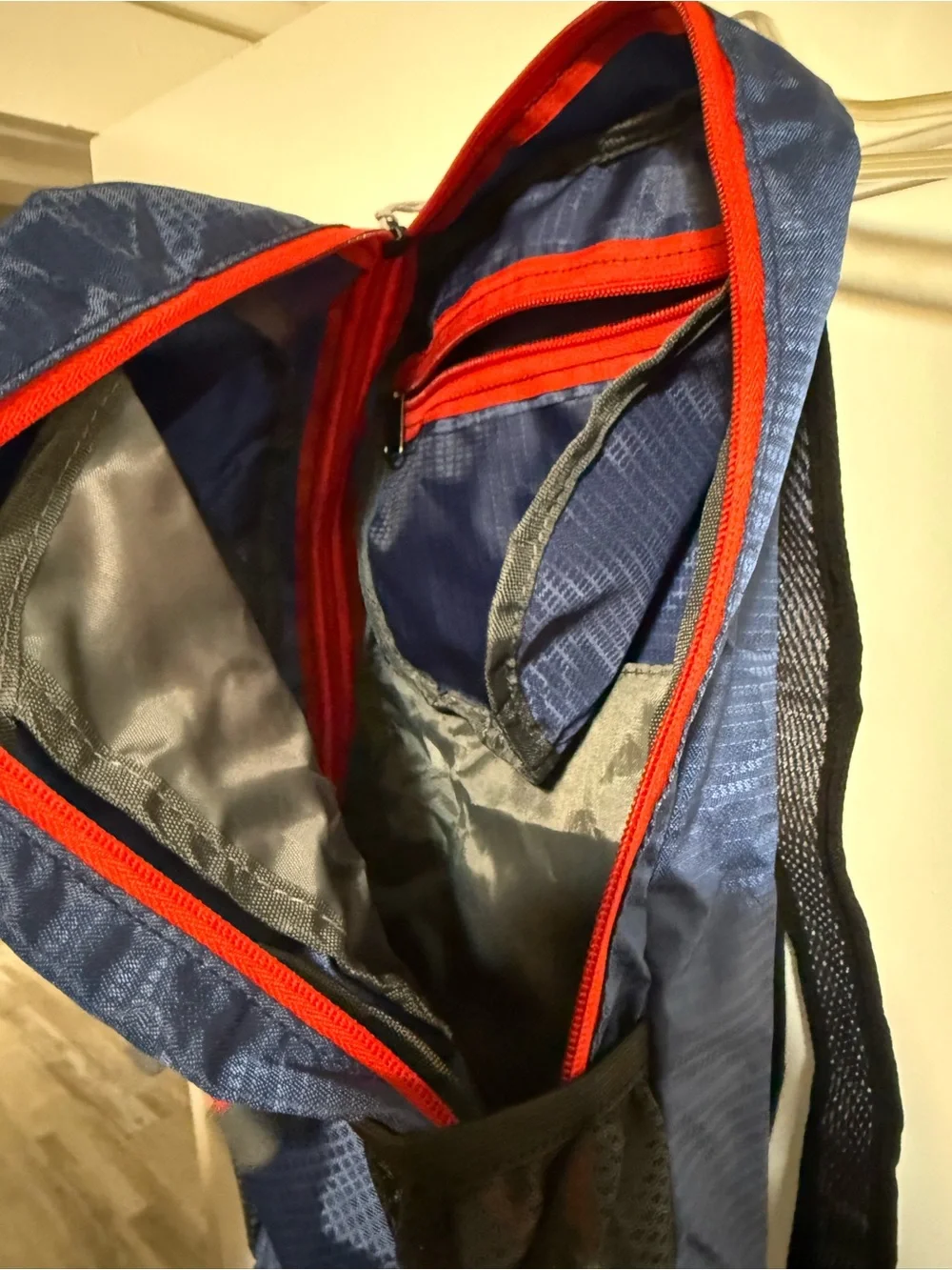 Blue Daypack Backpack with Red Accents